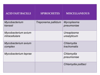 ACID FAST BACILLI SPIROCHETES MISCELLANEOUS
Mycobacterium
kanasii
Treponema pallidum Mycoplasma
pneumoniae
Mycobacterium avium
intracellulare
Ureaplasma
urealyticum
Mycobacterium avium
complex
Chlamydia
trachomatis
Mycobacterium leprae Chlamydia
pneumoniae
Chlamydia psittaci
 