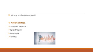  Spiramycin – Toxoplasma gondii
 Adverse Effect
Cholestatic hepatitis
 Epigastric pain
 Ototoxicity
 Tinnitus
 