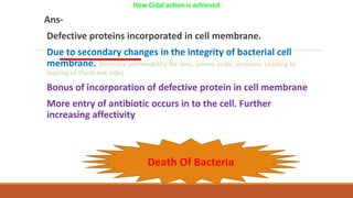 How Cidal action is achieved
Ans-
Defective proteins incorporated in cell membrane.
Due to secondary changes in the integrity of bacterial cell
membrane. (Increase permeability for ions, amino acids, proteins- Leading to
leaking of these out side)
Bonus of incorporation of defective protein in cell membrane
More entry of antibiotic occurs in to the cell. Further
increasing affectivity
Death Of Bacteria
 