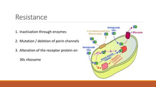 Resistance
1. Inactivation through enzymes
2. Mutation / deletion of porin channels
3. Alteration of the receptor protein on
30s ribosome
 
