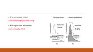  Aminoglycoside exhibit
Concentration Dependent Killing
 Aminoglycoside also posses
post-antibiotic effect
 