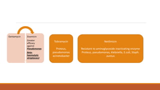 Gentamycin Sisomicin
Greater
efficacy
against
Pseudomonas
Beta-
haemolytic
streptococci
Tobramycin
Proteus,
pseudomonas
acinetobacter
Netilmicin
Resistant to aminoglycoside inactivating enzyme
Proteus, pseudomonas, klebsiella, E.coli, Staph.
aureus
 