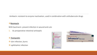 Amikacin: resistant to enzyme inactivation, used in combination with antitubercular drugs
Neomycin
With bacitracin- prevent infection in wound and cuts
1. As preoperative intestinal antiseptic
 framycetin
 skin infection, burns
 ophthalmic infection
 