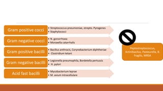• Streptococcus pneumoniae, strepto. Pyrogenes
• Staphylococci
Gram positive cocci
• N. gonorrhoea
• Moraxella catarrhalis
Gram negative cocci
• Bacillus anthracis, Corynebacterium diphtheriae
• Clostridium tetani
Gram positive bacilli
• Legionella pneumophila, Bordetella pertussis
• H. pylori
Gram negative bacilli
• Mycobacterium leprae
• M. avium intracellulare
Acid fast bacilli
Peptostreptococcus,
Actinibacilus, Pasteurella, B.
fragilis, MRSA
 