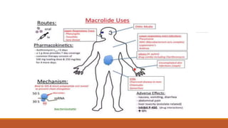 Clarithromycin
• Lung disease
Mycobacterium avium
complex
• Pneumonia, epiglottis
• Meningitis
H. influenzae
• Toxoplasma
...