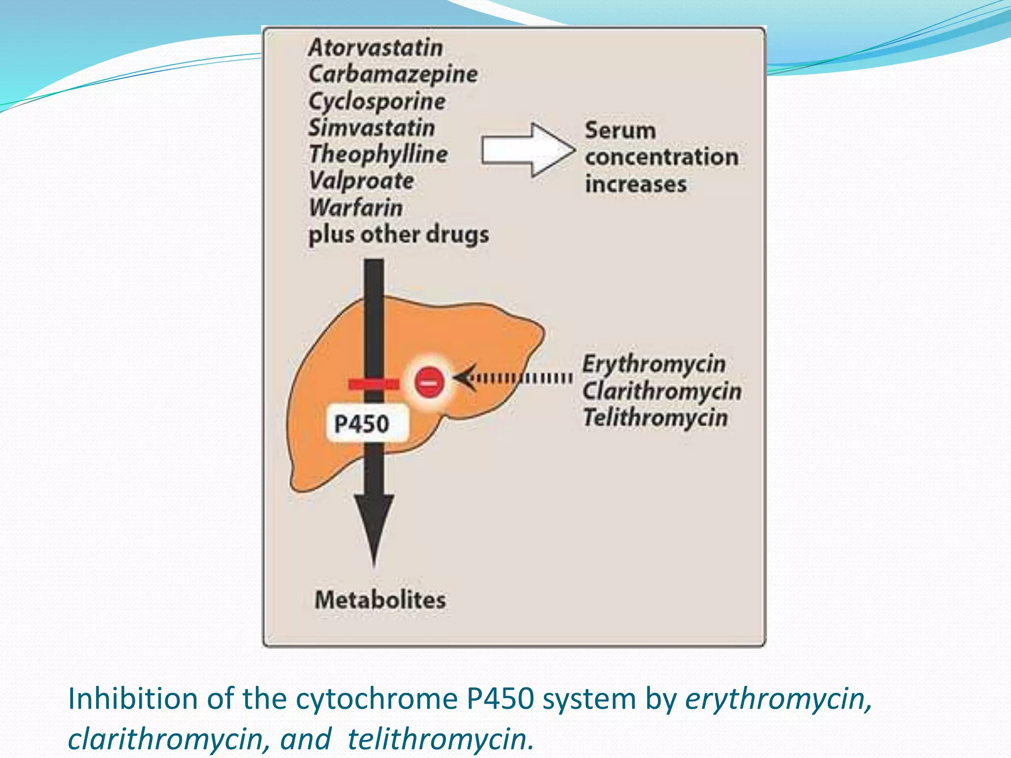 Inhibition of the cytochrome P450 system by erythromycin,
clarithromycin, and telithromycin.
 