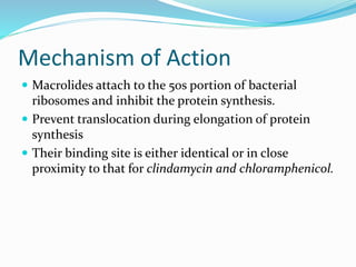 Mechanism of Action
 Macrolides attach to the 50s portion of bacterial
ribosomes and inhibit the protein synthesis.
 Prevent translocation during elongation of protein
synthesis
 Their binding site is either identical or in close
proximity to that for clindamycin and chloramphenicol.
 
