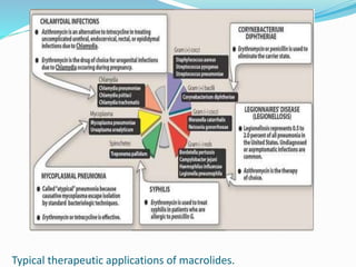 Typical therapeutic applications of macrolides.
 