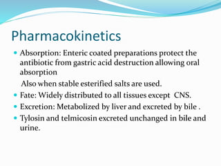 Pharmacokinetics
 Absorption: Enteric coated preparations protect the
antibiotic from gastric acid destruction allowing oral
absorption
Also when stable esterified salts are used.
 Fate: Widely distributed to all tissues except CNS.
 Excretion: Metabolized by liver and excreted by bile .
 Tylosin and telmicosin excreted unchanged in bile and
urine.
 