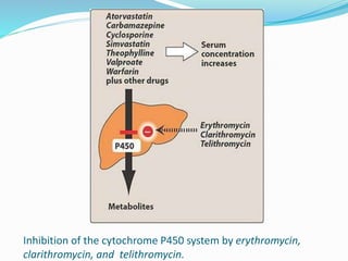 Inhibition of the cytochrome P450 system by erythromycin,
clarithromycin, and telithromycin.
 