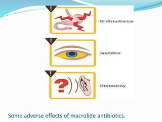 Some adverse effects of macrolide antibiotics.
 