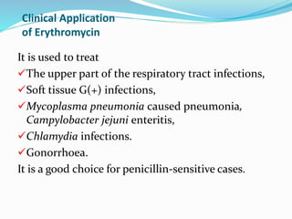 Clinical Application
of Erythromycin
It is used to treat
The upper part of the respiratory tract infections,
Soft tissue G(+) infections,
Mycoplasma pneumonia caused pneumonia,
Campylobacter jejuni enteritis,
Chlamydia infections.
Gonorrhoea.
It is a good choice for penicillin-sensitive cases.
 