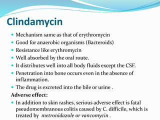 Clindamycin
 Mechanism same as that of erythromycin
 Good for anaerobic organisms (Bacteroids)
 Resistance like erythromycin
 Well absorbed by the oral route.
 It distributes well into all body fluids except the CSF.
 Penetration into bone occurs even in the absence of
inflammation.
 The drug is excreted into the bile or urine .
Adverse effect:
 In addition to skin rashes, serious adverse effect is fatal
pseudomembranous colitis caused by C. difficile, which is
treated by metronidazole or vancomycin .
 