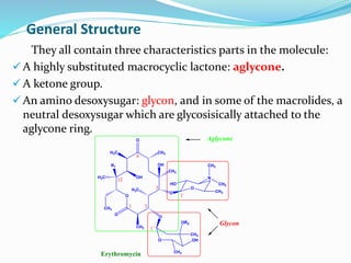 General Structure
O
O
O
CH3
R1
H3C
CH3
CH3
O
H3C
OH
H3C
CH3
OH
O
O
HO
CH3
N
CH3
CH3
O OH
CH3
CH3
OR2
1 3
5
9
12
1`
1``
Erythromycin
Glycon
Aglycone
They all contain three characteristics parts in the molecule:
 A highly substituted macrocyclic lactone: aglycone.
 A ketone group.
 An amino desoxysugar: glycon, and in some of the macrolides, a
neutral desoxysugar which are glycosisically attached to the
aglycone ring.
 