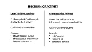 macrolides, Structure activity relation ship PRESENTATIONS.pptx
