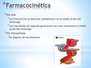 *
*Vía oral
*La Eritromicina se destruye rápidamente en el medio ácido del
estómago
*Los macrólidos de segunda generación son mas resistentes al medio
acido del estómago
*Vía intravenosa
*Se dispone de lactobionato
 