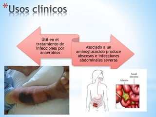*
Útil en el
tratamiento de
infecciones por
anaerobios
Asociado a un
aminoglucócido produce
abscesos e infecciones
abdominales severas
 