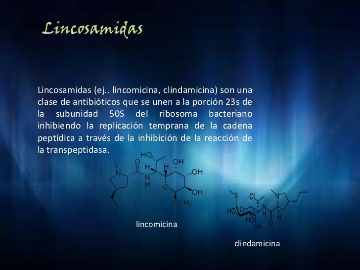 Macrolidos 2 Macrolidos 2