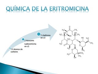 13 átomos de
carbono
2 Azucares
Ladesomicina
en c5
Y cladinosa
en c3
 