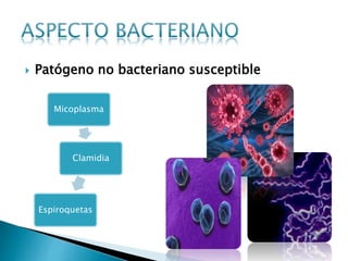  Patógeno no bacteriano susceptible
Micoplasma
Clamidia
Espiroquetas
 