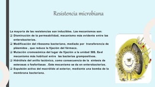 La mayoría de las resistencias son inducibles. Los mecanismos son:
 Disminución de la permeabilidad, mecanismo más evidente entre las
enterobacterias.
 Modificación del ribosoma bacteriano, mediada por transferencia de
plásmidos , que reduce la fijación del fármaco.
 Mutación cromosómica del lugar de fijación a la unidad 50S. Es el
mecanismo más habitual entre las bacterias grampositivas.
 Hidrólisis del anillo lactónico, como consecuencia de la síntesis de
esterasas o fosforilasas . Este mecanismo se da en enterobacterias.
 Expulsión activa del macrólido al exterior, mediante una bomba de la
membrana bacteriana.
Resistencia microbiana
 