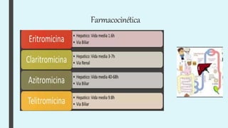 Farmacocinética
 