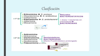 Clasificación
 