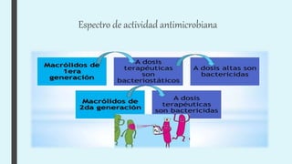 Espectro de actividad antimicrobiana
 