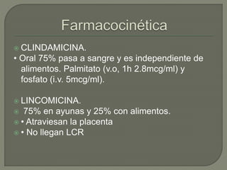  CLINDAMICINA.
• Oral 75% pasa a sangre y es independiente de
alimentos. Palmitato (v.o, 1h 2.8mcg/ml) y
fosfato (i.v. 5mcg/ml).
 LINCOMICINA.
 75% en ayunas y 25% con alimentos.
 • Atraviesan la placenta
 • No llegan LCR
 