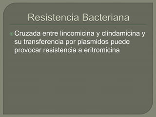 Cruzada entre lincomicina y clindamicina y
su transferencia por plasmidos puede
provocar resistencia a eritromicina
 