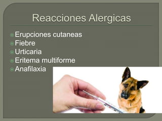 Erupciones cutaneas
Fiebre
Urticaria
Eritema multiforme
Anafilaxia
 