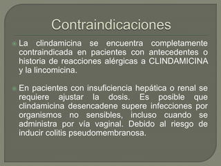  La clindamicina se encuentra completamente
contraindicada en pacientes con antecedentes o
historia de reacciones alérgicas a CLINDAMICINA
y la lincomicina.
 En pacientes con insuficiencia hepática o renal se
requiere ajustar la dosis. Es posible que
clindamicina desencadene supere infecciones por
organismos no sensibles, incluso cuando se
administra por vía vaginal. Debido al riesgo de
inducir colitis pseudomembranosa.
 
