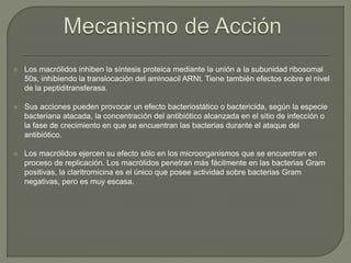  Los macrólidos inhiben la síntesis proteica mediante la unión a la subunidad ribosomal
50s, inhibiendo la translocación del aminoacil ARNt. Tiene también efectos sobre el nivel
de la peptiditransferasa.
 Sus acciones pueden provocar un efecto bacteriostático o bactericida, según la especie
bacteriana atacada, la concentración del antibiótico alcanzada en el sitio de infección o
la fase de crecimiento en que se encuentran las bacterias durante el ataque del
antibiótico.
 Los macrólidos ejercen su efecto sólo en los microorganismos que se encuentran en
proceso de replicación. Los macrólidos penetran más fácilmente en las bacterias Gram
positivas, la claritromicina es el único que posee actividad sobre bacterias Gram
negativas, pero es muy escasa.
 