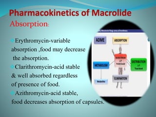 Absorption:
Erythromycin-variable
absorption ,food may decrease
the absorption.
Clarithromycin-acid stable
& well absorbed regardless
of presence of food.
Azithromycin-acid stable,
food decreases absorption of capsules.
 