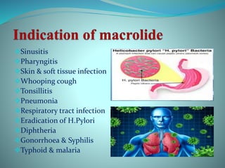 Sinusitis
Pharyngitis
Skin & soft tissue infection
Whooping cough
Tonsillitis
Pneumonia
Respiratory tract infection
Eradication of H.Pylori
Diphtheria
Gonorrhoea & Syphilis
Typhoid & malaria
 