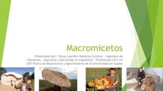 Macromicetos
Presentado por: Yenny Leandra Valencia Cardona – Ingeniera de
Alimentos - Aspirante a Doctorado en Ingeniería – Profesional I+D+i en
CDT Planta de Bioprocesos y Agroindustria de la Universidad de Caldas
 