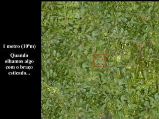 1 metro (10 0 m) Quando olhamos algo com o braço esticado... 