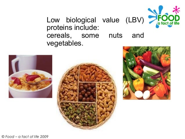 Low Biological Value Protein Foods Low Biological Value Protein Foods