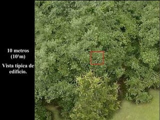 10 metros (10 1 m) Vista típica de edifício. 