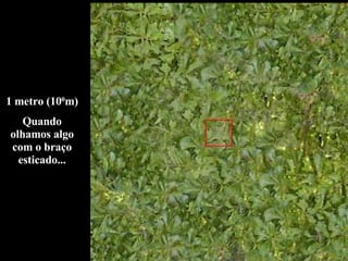 1 metro (10 0 m) Quando olhamos algo com o braço esticado... 