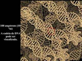 100 angstrons (10 -8 m) A cadeia de DNA pode ser visualizada. 