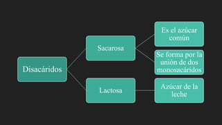 Disacáridos
Sacarosa
Es el azúcar
común
Se forma por la
unión de dos
monosacáridos
Lactosa
Azúcar de la
leche
 