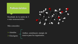 Polisacáridos
Resultado de la unión de 3
o más monosacáridos.
Más conocidos:
Almidón
Glucógeno
Ambos constituyen energía de
reserva para los organismos.
 