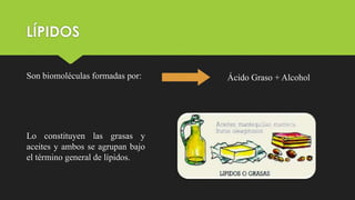 LÍPIDOS
Son biomoléculas formadas por:
Lo constituyen las grasas y
aceites y ambos se agrupan bajo
el término general de lípidos.
Ácido Graso + Alcohol
 