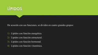 LÍPIDOS
De acuerdo con sus funciones, se dividen en cuatro grandes grupos:
1) Lípidos con función energética.
2) Lípidos con función estructural.
3) Lípidos con función hormonal.
4) Lípidos con función vitamínica.
 