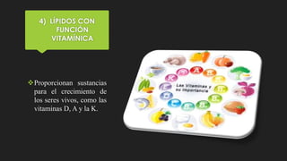 4) LÍPIDOS CON
FUNCIÓN
VITAMÍNICA
Proporcionan sustancias
para el crecimiento de
los seres vivos, como las
vitaminas D, A y la K.
 