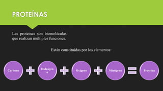 PROTEÍNAS
Las proteínas son biomoléculas
que realizan múltiples funciones.
Están constituidas por los elementos:
Carbono
Hidrógen
o
Oxígeno Nitrógeno Proteína
 