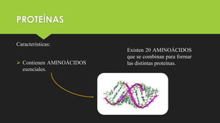 PROTEÍNAS
Características:
 Contienen AMINOÁCIDOS
esenciales.
Existen 20 AMINOÁCIDOS
que se combinan para formar
las distintas proteínas.
 