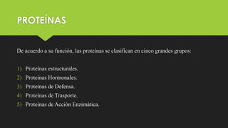 PROTEÍNAS
De acuerdo a su función, las proteínas se clasifican en cinco grandes grupos:
1) Proteínas estructurales.
2) Proteínas Hormonales.
3) Proteínas de Defensa.
4) Proteínas de Trasporte.
5) Proteínas de Acción Enzimática.
 