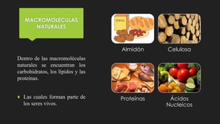 Almidón Celulosa
Proteínas Ácidos
Nucleicos
MACROMOLÉCULAS
NATURALES
Dentro de las macromoléculas
naturales se encuentran los
carbohidratos, los lípidos y las
proteínas.
♦ Las cuales forman parte de
los seres vivos.
 